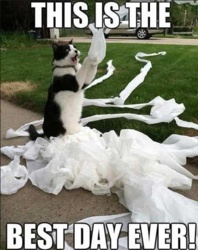 2f6e18cb-8afe-43e5-b608-7425562b55b9