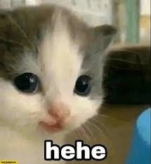 d1f2775e-553e-445e-af67-356ddf350d82