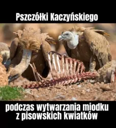 34ec25e1-87ba-488b-b21a-cf14e3aacf93