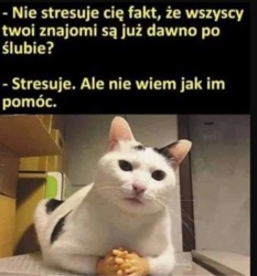 872f5803-2b8d-4fa2-b511-dabdf1e1c9aa