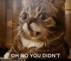 1365afdb-3fe9-450d-9b6c-f4603b0e7125