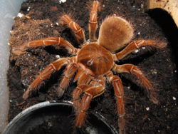 f7710dd2-5e48-4bce-8d6f-22326a9c1bd0