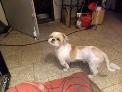 3229a34e-cb57-4e9c-97fa-c700c70303ca