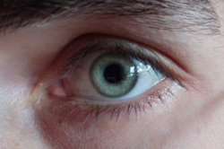 5bc6eee2-4860-4031-b2ae-e73a44d29aa0