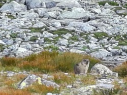 57746bbf-8055-4a75-94b4-84de1e1564aa