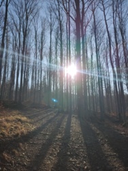 be17c905-dbac-4dfa-9e80-af2dbe393160