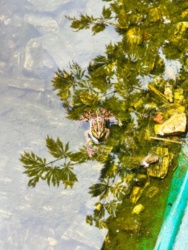 0f7a294d-1033-421a-bc1e-abc15f405a75