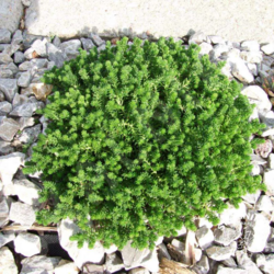 0fbf0926-ea88-467d-ab31-4c23546aed39