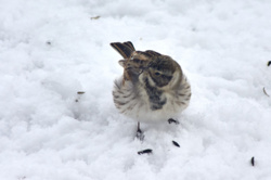 99278977-a576-4f03-a6bb-e17f3eb2e1c0