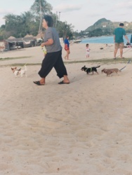 a906ca7e-2331-4542-b280-29934cdb16f2