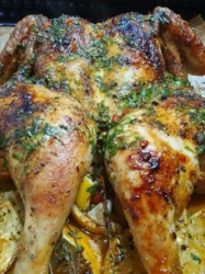 907ed9bd-4f56-4555-b20b-cb56bfe459e3