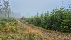 ed99cbc5-96e3-4adc-af35-273ba73a9512