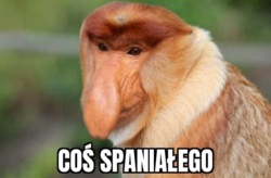 048cde7e-313f-4227-bbbd-5eeba823d923