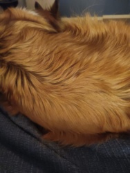 10803e2d-06a0-4023-bd9a-4759212f6192