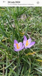 d7ffeea6-c304-4822-8708-46b99bc7cdd1