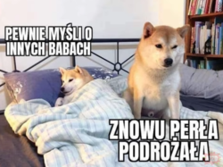 f09476f2-57de-4b1a-99e5-8f83577e5ab5