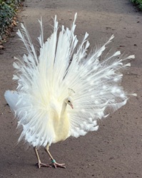 4df1c1fa-30e5-4d40-920c-44350e55a50c