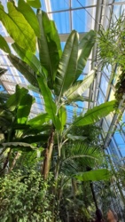 ba9fd893-f416-4392-9b39-be40fc34dcba