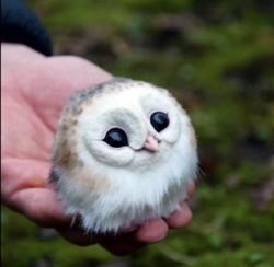 5d9c57e6-d8a5-44b5-a22a-724955c1d390