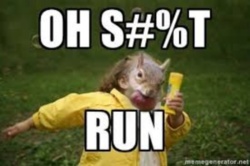 36b9cc1d-2f90-46c4-b185-1d723d091eb9