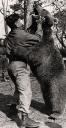 2c08020c-914a-4e17-96bf-3da07f946528