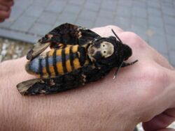 e06aab7d-0b28-4917-9c54-96e332d8c750