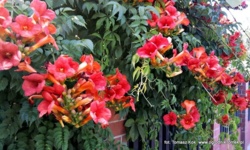 031bb804-898b-40f7-a8f1-04acd918480a