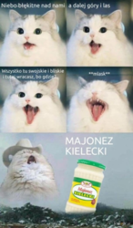 c98dd216-8b63-419d-aaa9-ff8f57d617c4