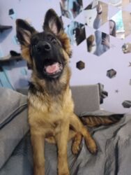 1024bdbe-f576-4c47-bc20-d50768cab258