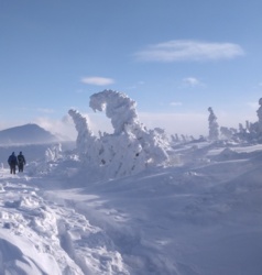 e3605277-a39d-4465-9e91-91e6168ca0ca