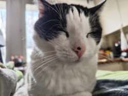 2abb072d-e532-41f7-ad14-18ee5d1d2008