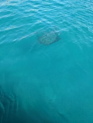 4d2a6bd3-1ae5-49d9-85f5-b00b7a1917b8