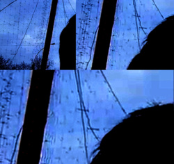 6d939e76-8f13-4991-8b24-569bc4ad55f3