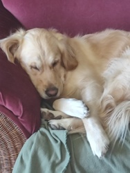 3c932c5f-587e-404a-9798-37d069071bf7