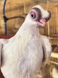 eed22a1f-ee84-48ee-9d10-19aac6f594be