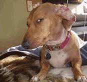 a3911bd3-617b-4336-a9d5-66ad86ae5d41