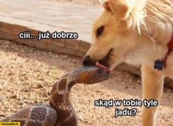 10450f44-cbcc-4d67-9111-45a751d796cf