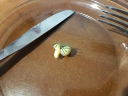 335f0fe8-1da7-4c0c-a9b3-6dd0eb1aa307