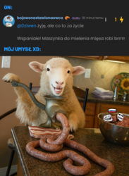 d50f69f7-63da-425a-a9d5-6fe4b6763c72