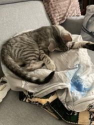 26666c87-b633-4b61-a17a-b8163dfc36e5