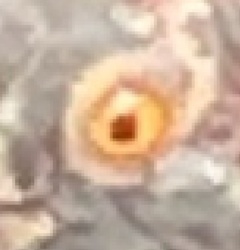 58c3a0f7-f173-4692-aabd-9a9ad0be2de0