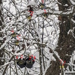 1ff739ed-9491-467f-96c0-86be90d62386