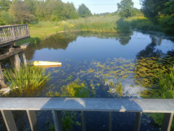 a3310574-eb0e-46a7-ad5f-e61df144e6a4