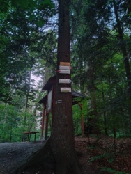 d21df4f5-039b-4a43-868f-76d091d35e1c