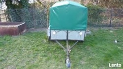 cc2eb56b-42ff-4628-8e16-eabae985c413