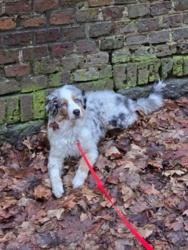 e6af3321-5726-41e7-b86e-c4a34b31d1e2