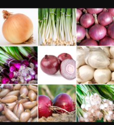 9e6fb441-e45e-4972-a97d-49164ef012a5