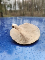 2c6acbc5-d35a-4788-9b67-ecd839627138