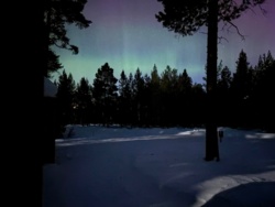 2097725f-b07e-43a9-852f-3dbf00dde7f3