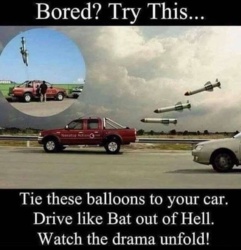 f95ff516-0695-49dc-a822-c862937ceb57